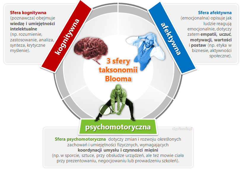 Taksonomia Blooma - Sfery